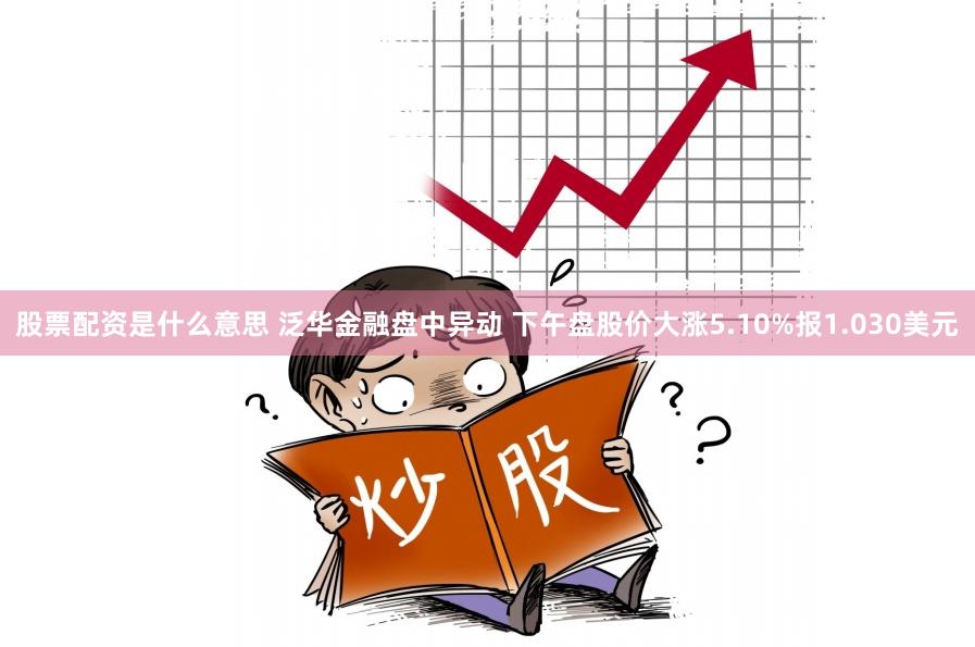 股票配资是什么意思 泛华金融盘中异动 下午盘股价大涨5.10%报1.030美元