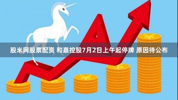 股米网股票配资 和嘉控股7月2日上午起停牌 原因待公布